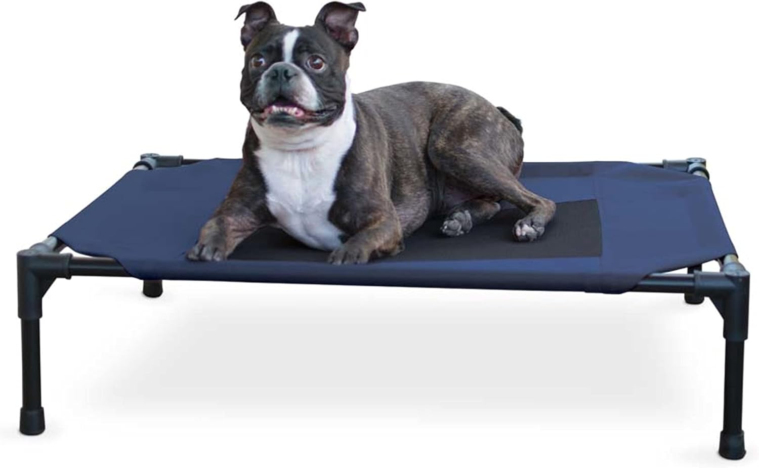 K&H Outdoor Elevated Dog Bed for Small & Medium Pets, Blue, Medium 32x25in Blue/Black Mesh