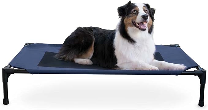 K&H Outdoor Elevated Dog Bed for Medium & Large Pets, Blue, Large 42x30in Blue/Black Mesh