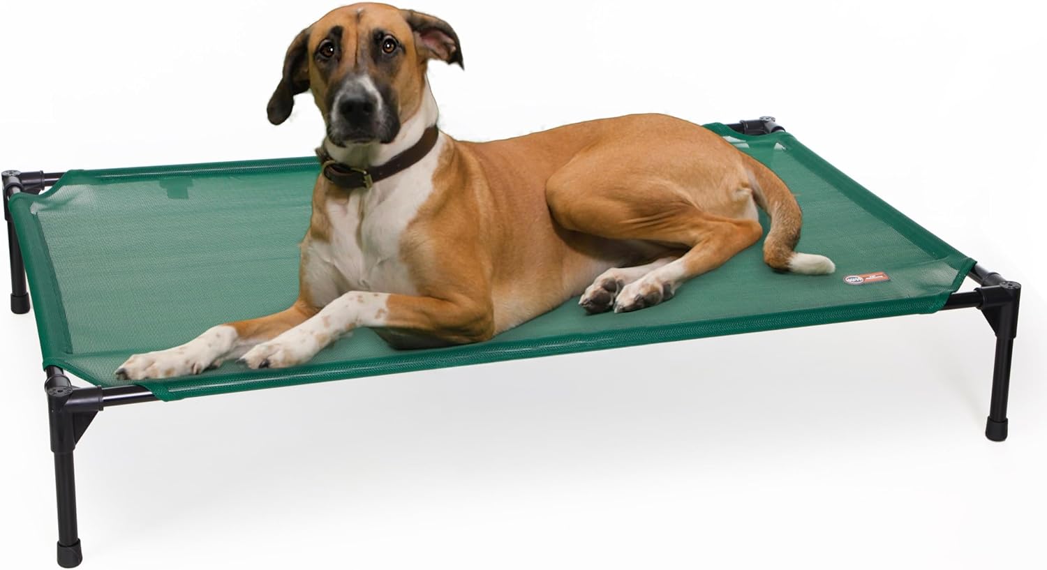 K&H Outdoor Elevated Dog Bed for Medium & Large Pets, Green, 42x30in Green Mesh
