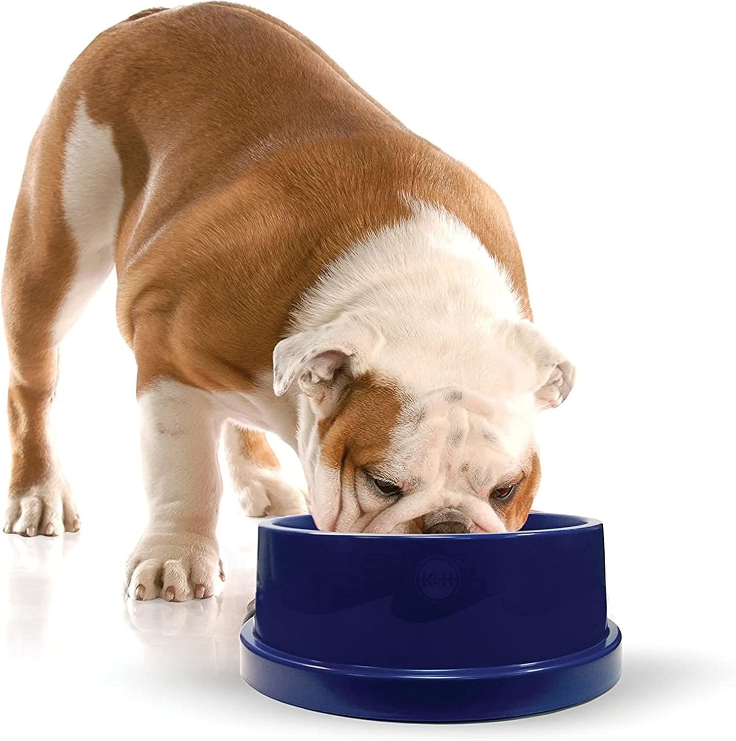 K&H Dog Water Bowl, Coolin' Pet Bowl, Ice Cold Pet Dish, 96 Ounces