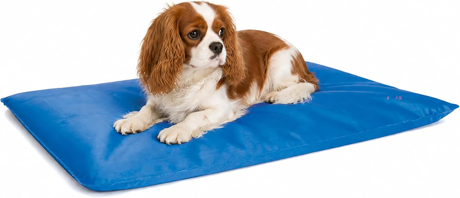K&H Dog Cooling Mat, Cool Bed III - Small 24x17in Chill Blue