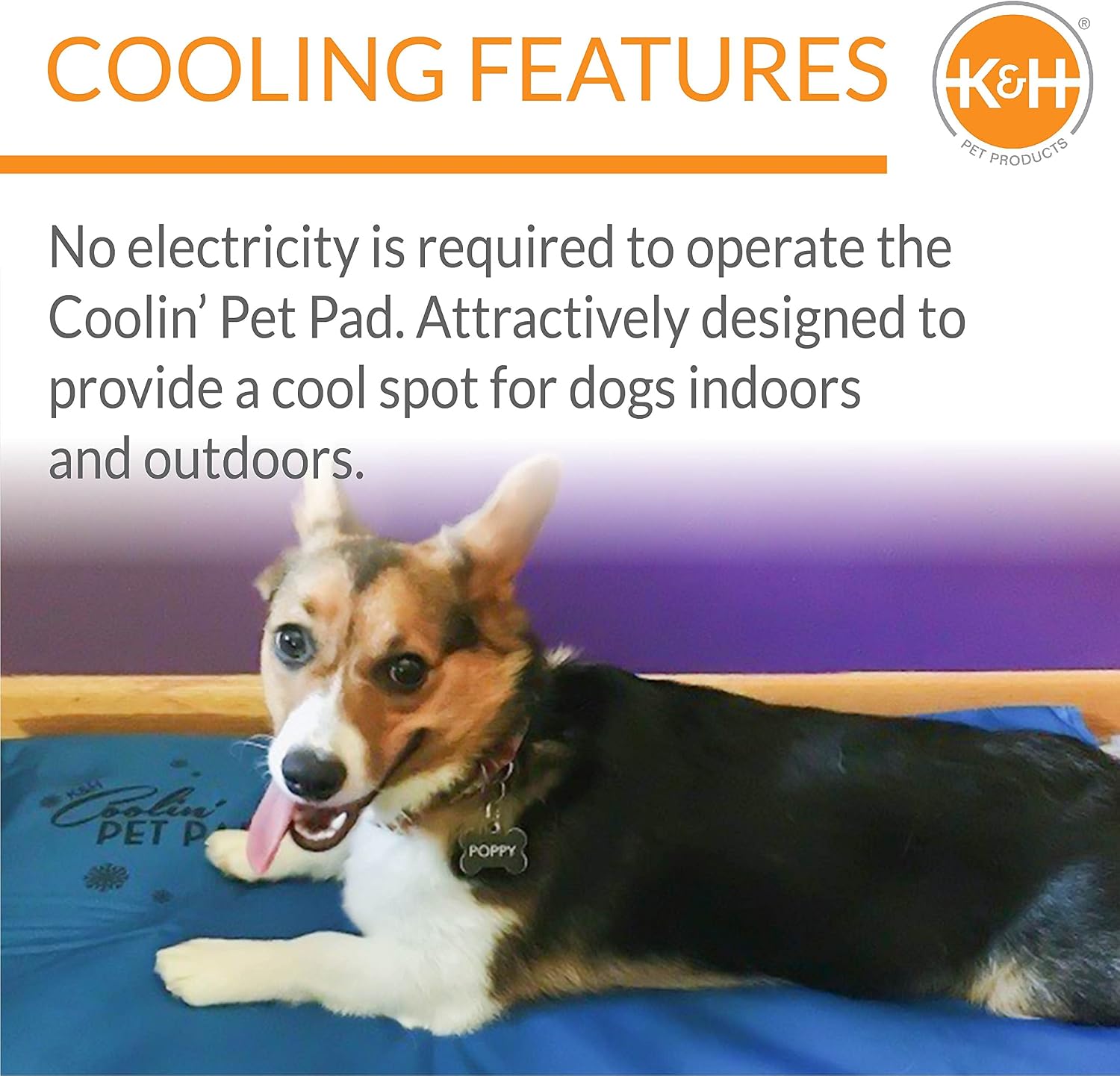 K&H Dog Cooling Mat, Coolin' Pet Pad - Medium 20x15in Chill Blue