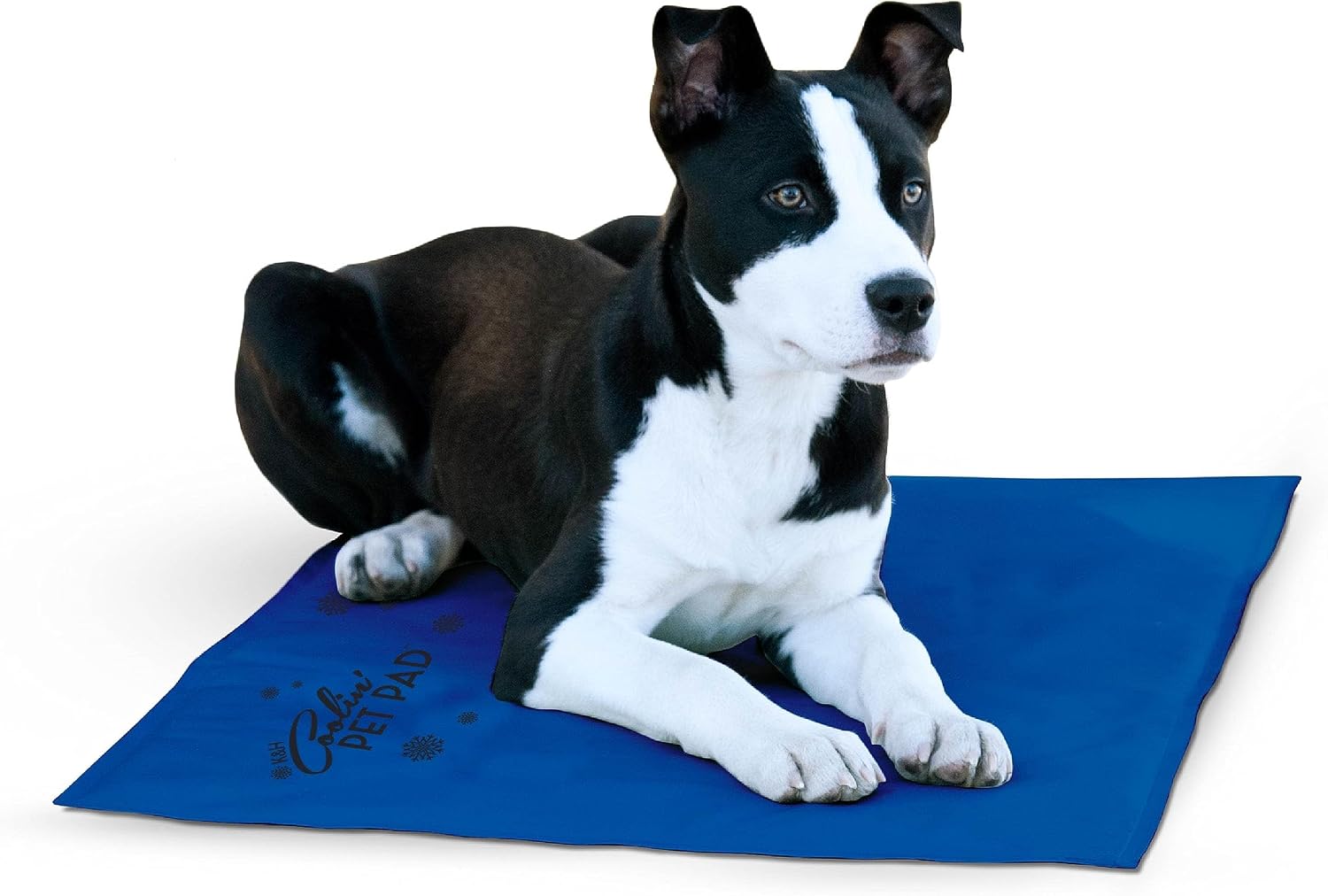 K&H Dog Cooling Mat, Coolin' Pet Pad, Large 36x20in Chill Blue