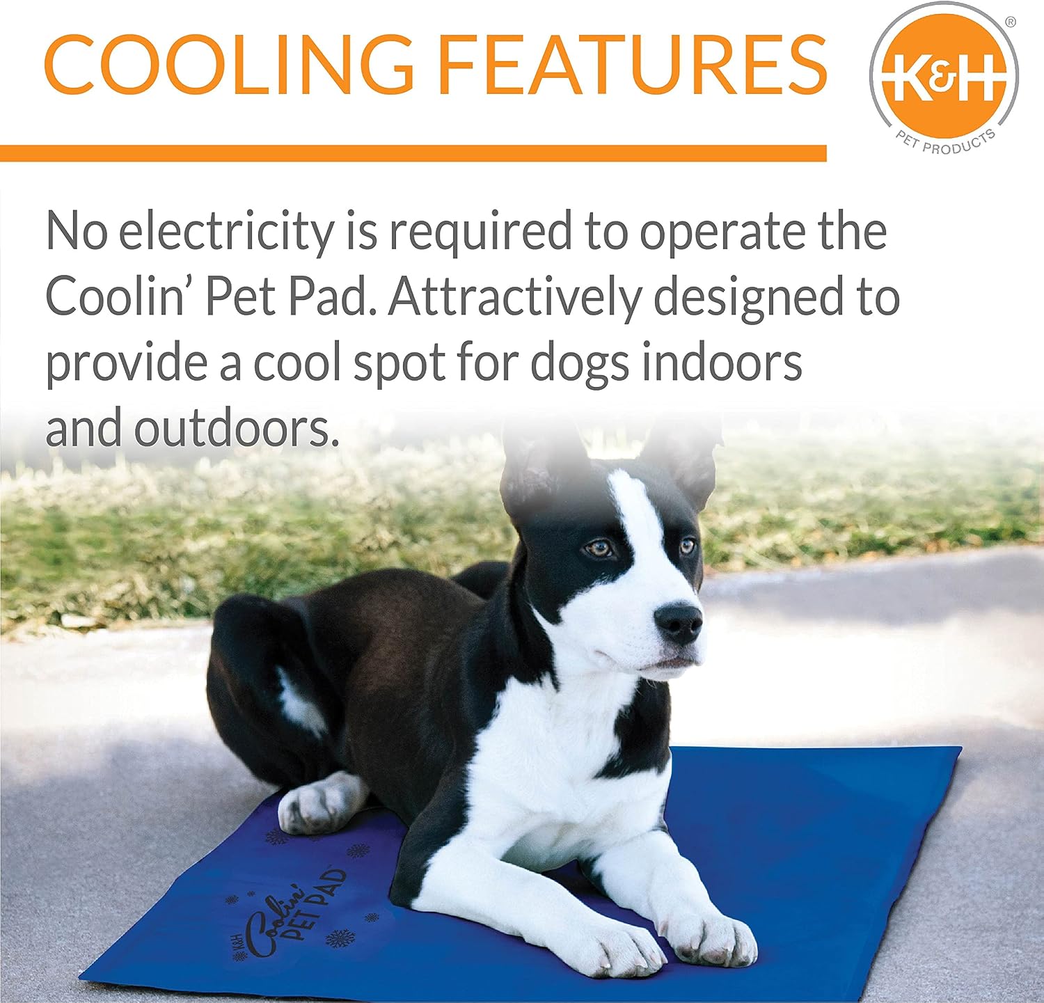 K&H Dog Cooling Mat, Coolin' Pet Pad, Large 36x20in Chill Blue