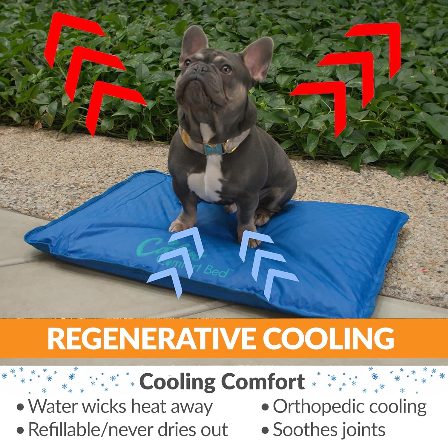 K&H Dog Cooling Mat, Cool Bed III - Large 44x32in Chill Blue