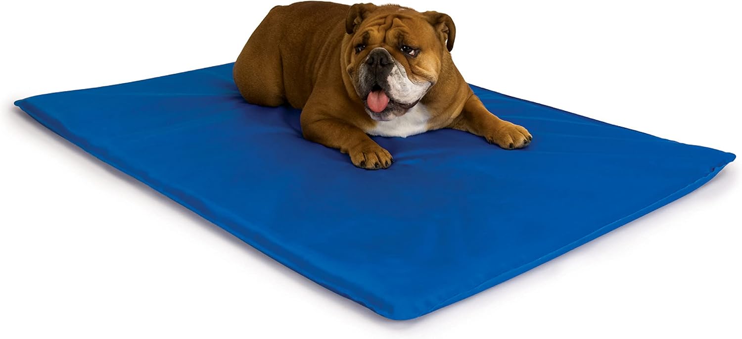K&H Dog Cooling Mat, Cool Bed III - Medium 32x22in Chill Blue