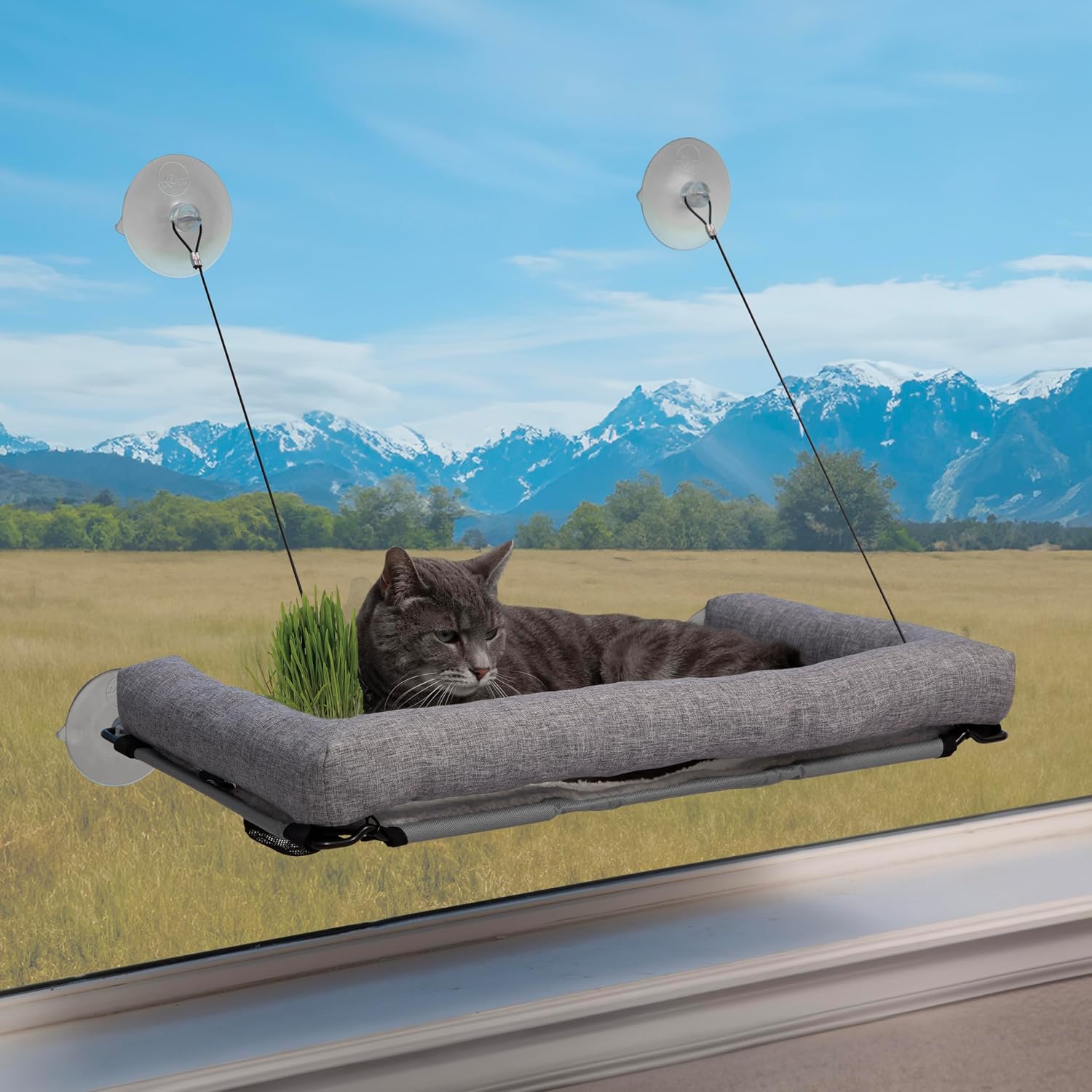 K&H Cat Window Perch, EZ Mount Deluxe Bolstered Sill with Cat Grass Kit