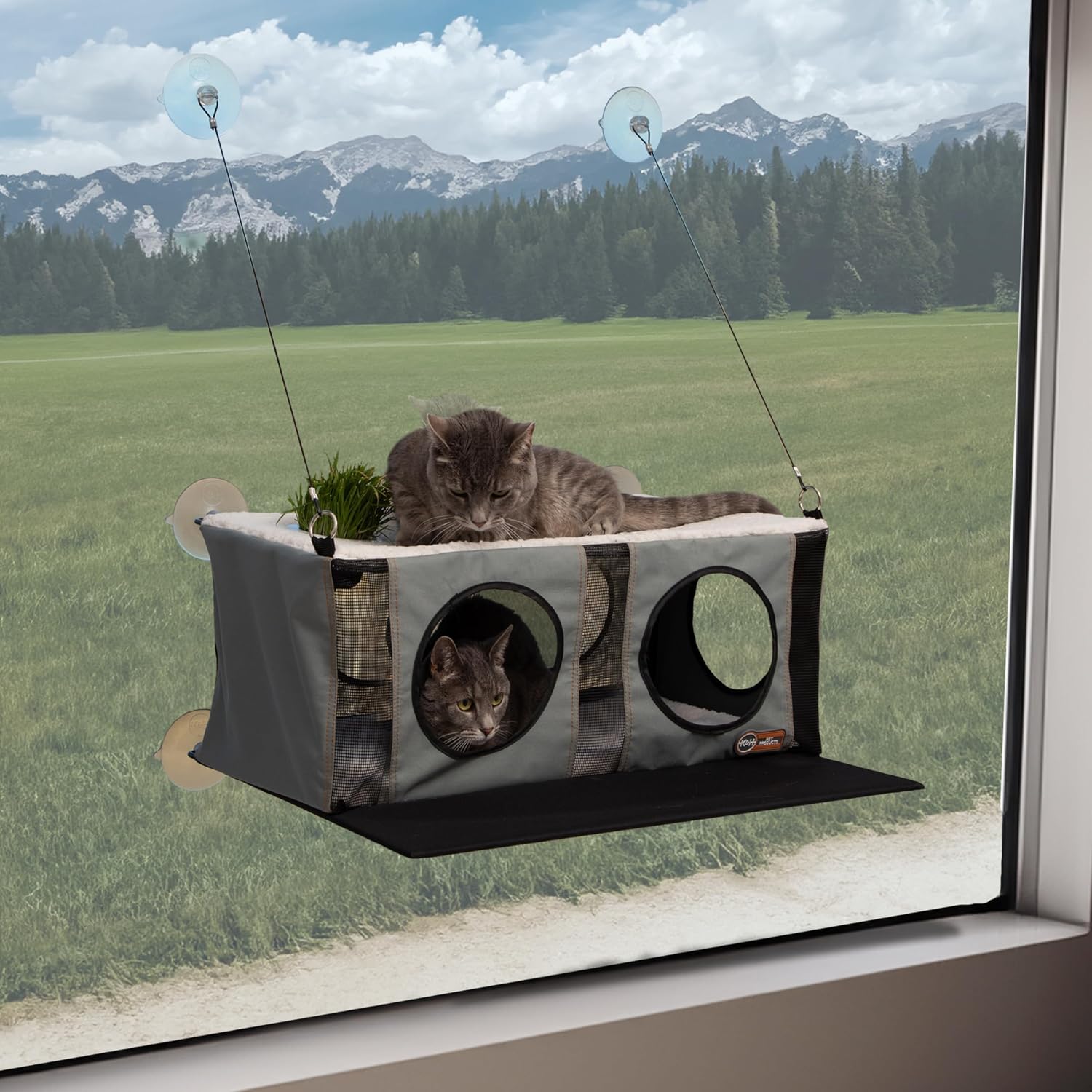 K&H Cat Window Perch, EZ Mount Penthouse Sill with Cat Grass Grow Station