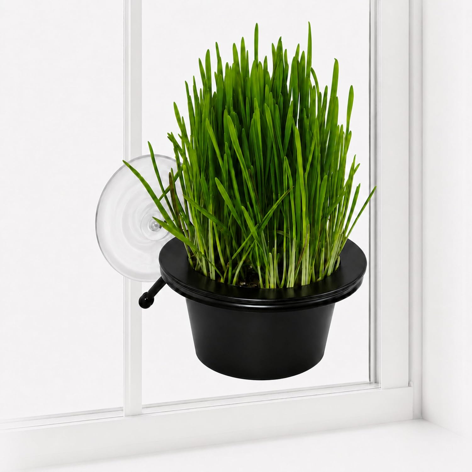 K&H Cat Grass Kit, EZ Mount Window Grass Grow Station, 5.25x4in, Black
