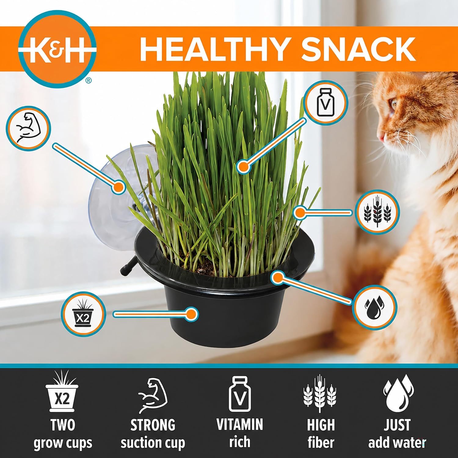 K&H Cat Grass Kit, EZ Mount Window Grass Grow Station, 5.25x4in, Black