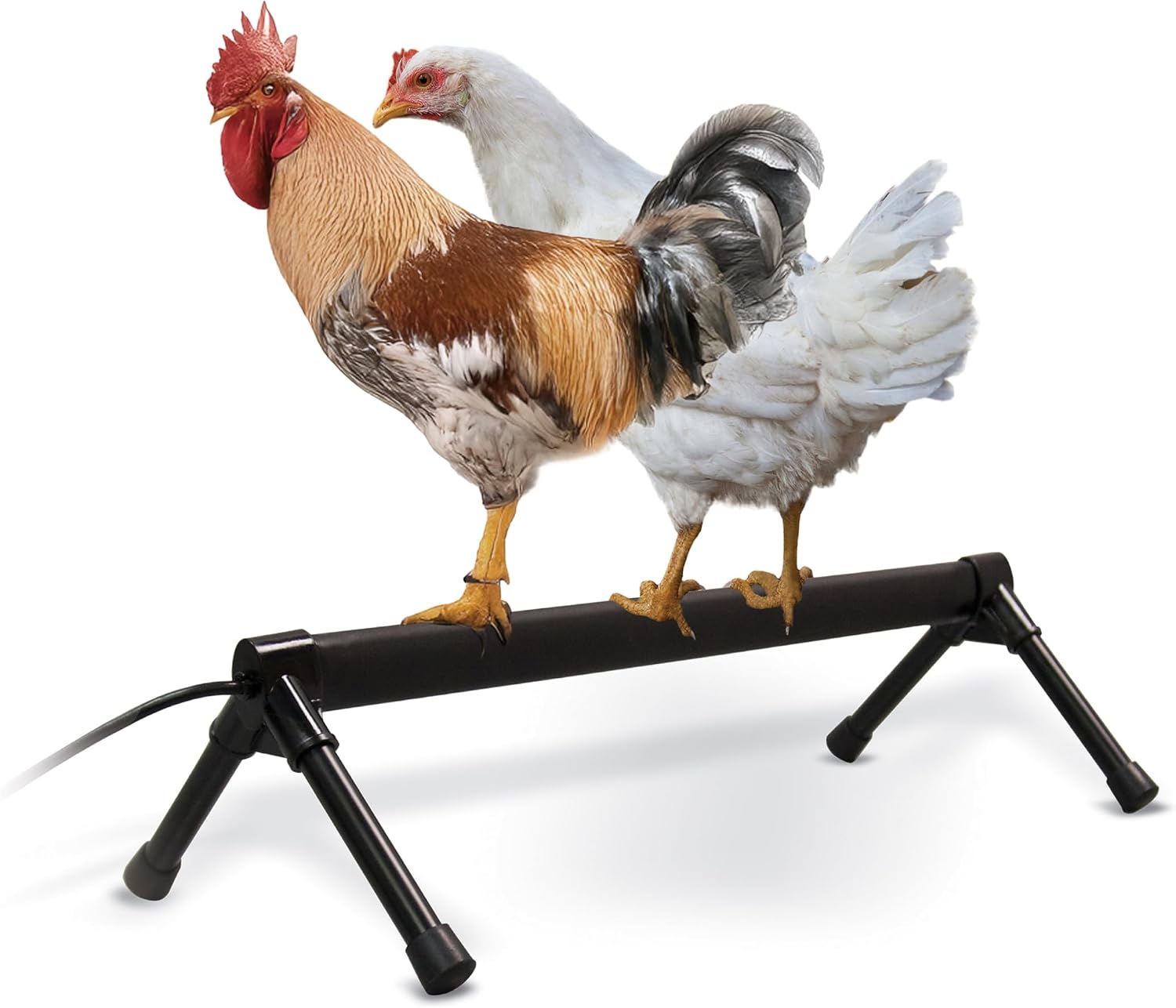 K&H PET PRODUCTS Thermo-Chicken Heated Perch Black Large 36 Inches